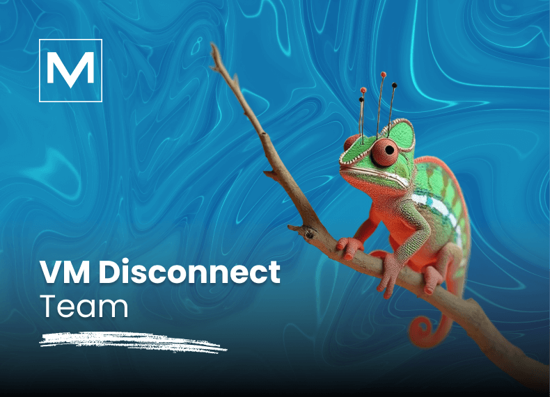 Digitalni Minimalizam u marketingu. VM Disconnect