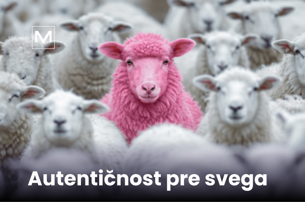 Vodič i koraci kako raditi sa mikro influencerima. Autentičnost pre svega. Kako raditi sa influencerima? Kako izabrati influencera?