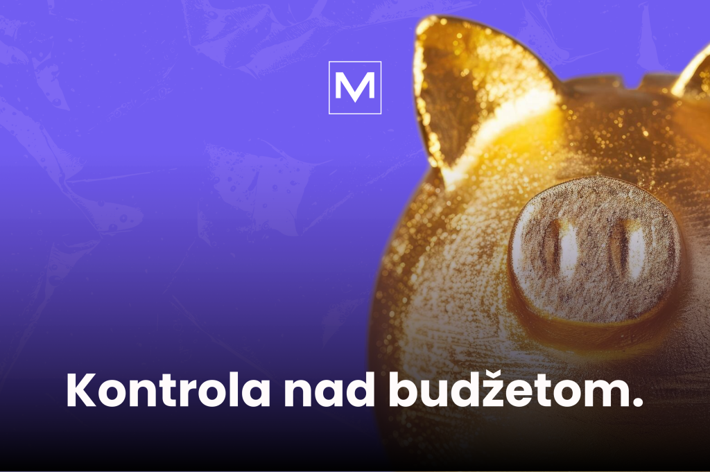 Kontrola nad budžetom. Ograničen budžet svi imaju. Budžet za performance marketing.