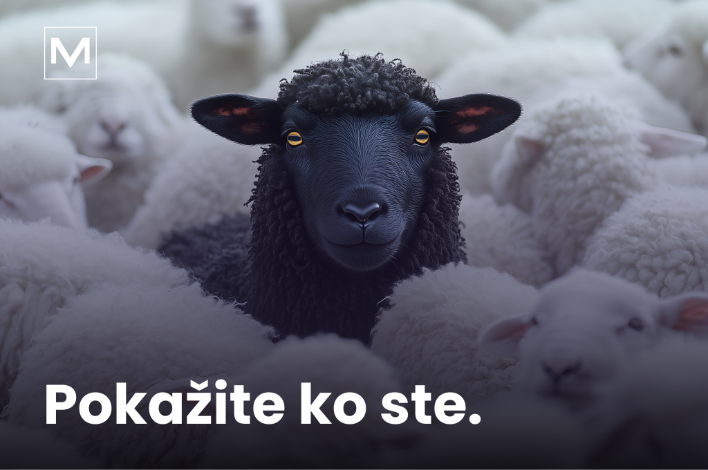 Kako srediti instagram profil za mali biznis? Digitalni marketing za mali biznis. Pokažite ko ste.