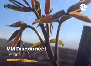VM Disconnect Team u novom blogu piše o uspešnom biznisu The Walnut Fund koji omogućava korisnicima da investiraju u sadnice oraha.